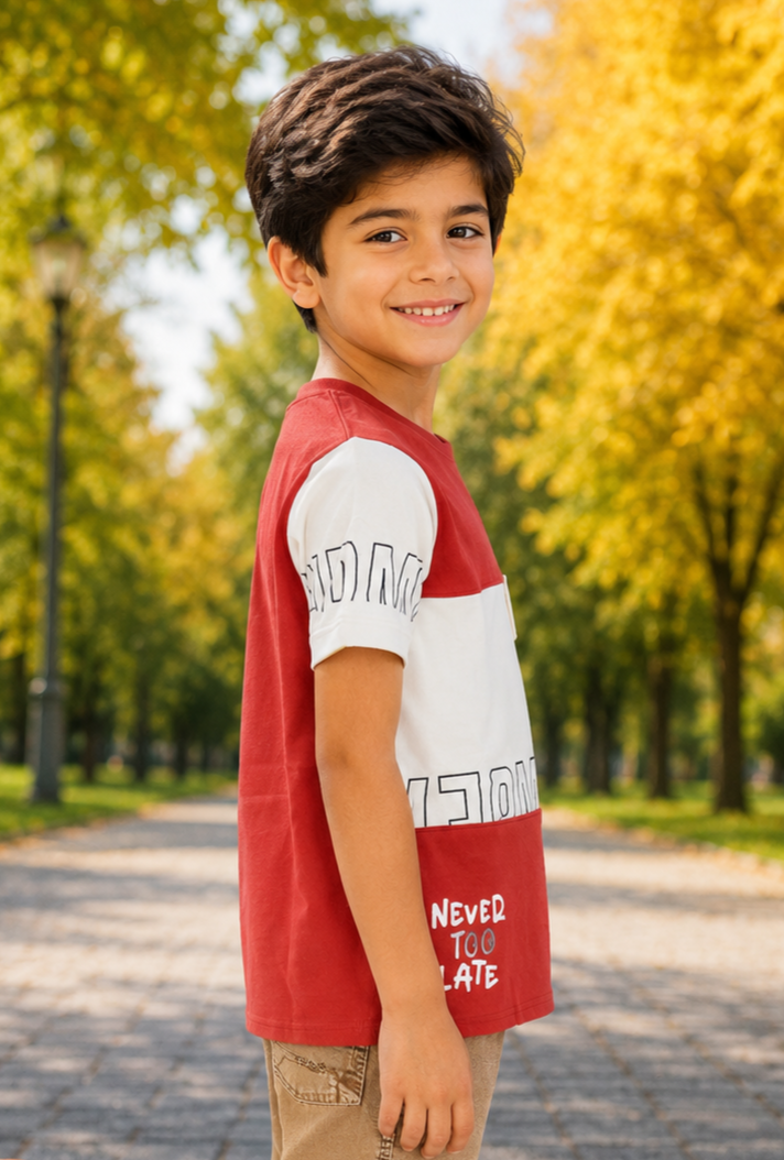 52373LT Boys Premium Hosiery Cotton Casual T-Shirt | Trendy, Soft & Comfortable Kids Wear 52373LT-268-RST - Image 3