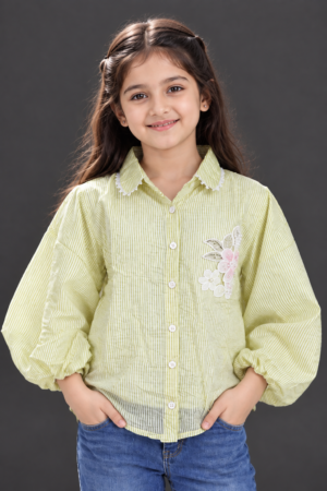 545LN Imported Striped Floral Embroidered Girls Balloon Sleeve Top 545LN-24-GRN