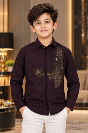 7224EM Boys’ Dark Brown Embellished Full-Sleeve Shirt – Japanese Fabric 7224EM-467-WNE
